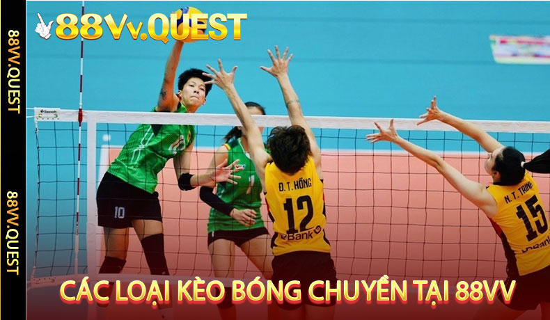 Các Loại Kèo Bóng Chuyền Phổ Biến Tại 88VV